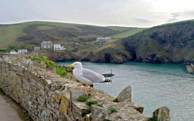 Port Isaac