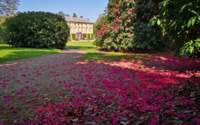 Pencarrow House & Gardens