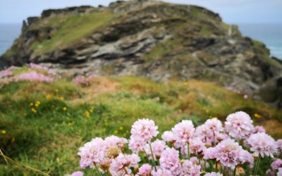 Tintagel